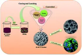  Gelatina Biocompatibile: Un Materiale Incredibile per le Applicazioni di Ingegneria Tissutale e Regenerativa!