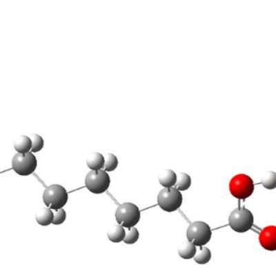  Didecanoic Acid: Un componente versatile per polimeri e lubrificanti di alta qualità!