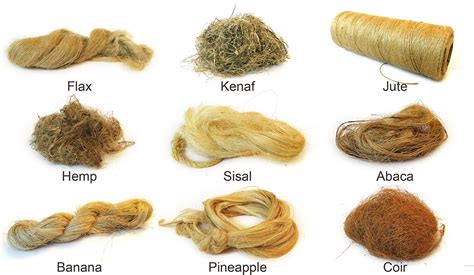  Jute:  A Natural Wonder for Sustainable Composites and Textiles!