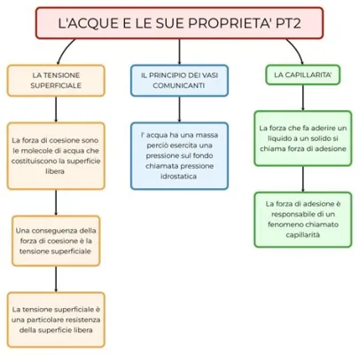 Tumeric: Un Esplorazione delle Sue Proprietà Multiformi e Applicazioni nella Tecnologia Alimentare e Farmaceutica!